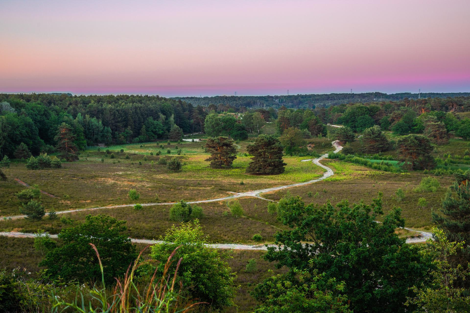Accommodation Brunssummerheide - Chalet - Velthorst 4 - 12
