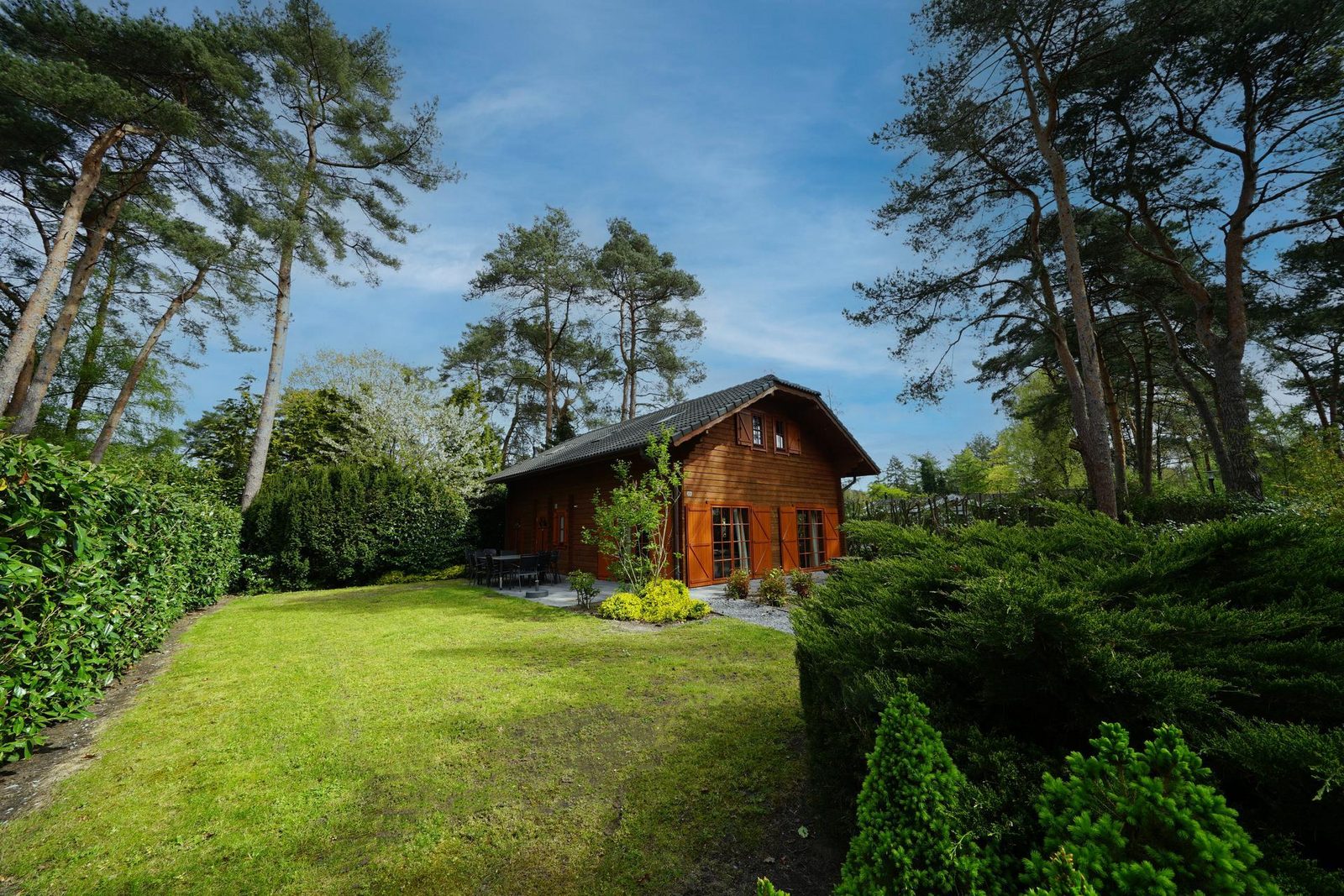 Boekhorst l’etage 12