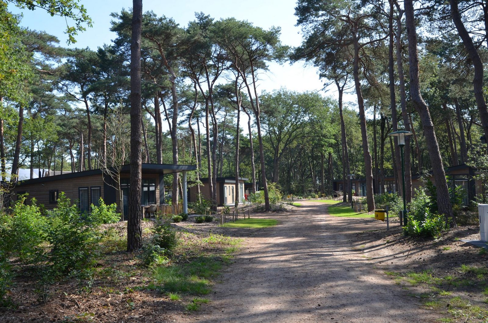 Bospark chalet | 6 persoons