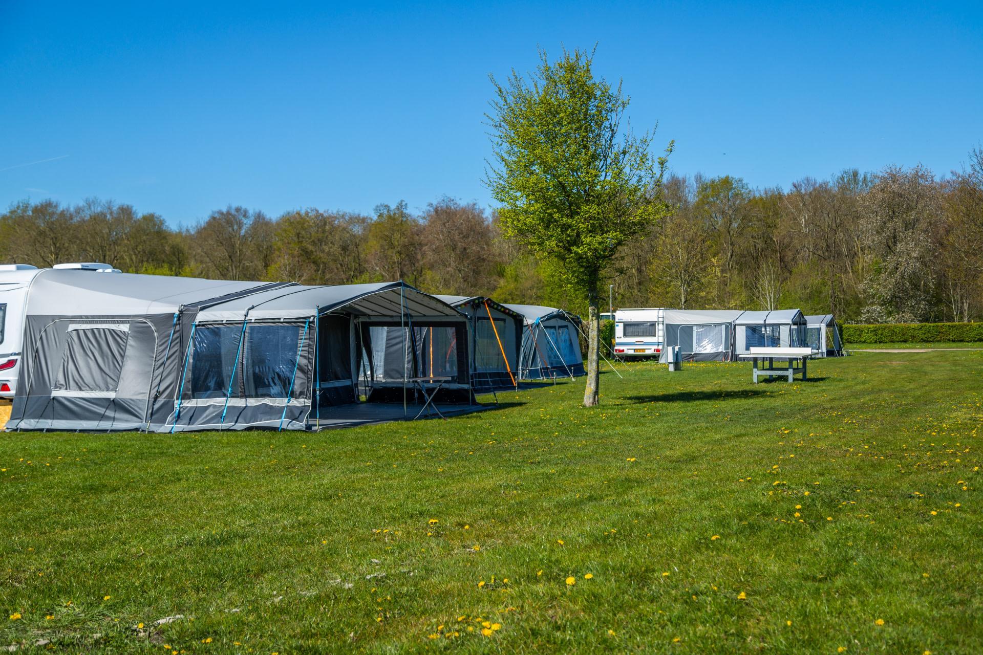 Accommodation Zuiderzee - Camping pitch - Camping pitch Standard - 1