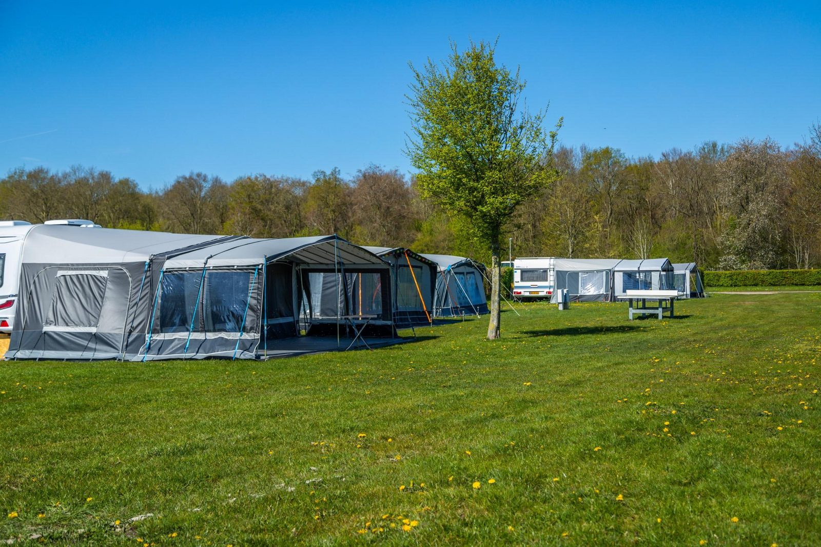 Camping pitch Standard