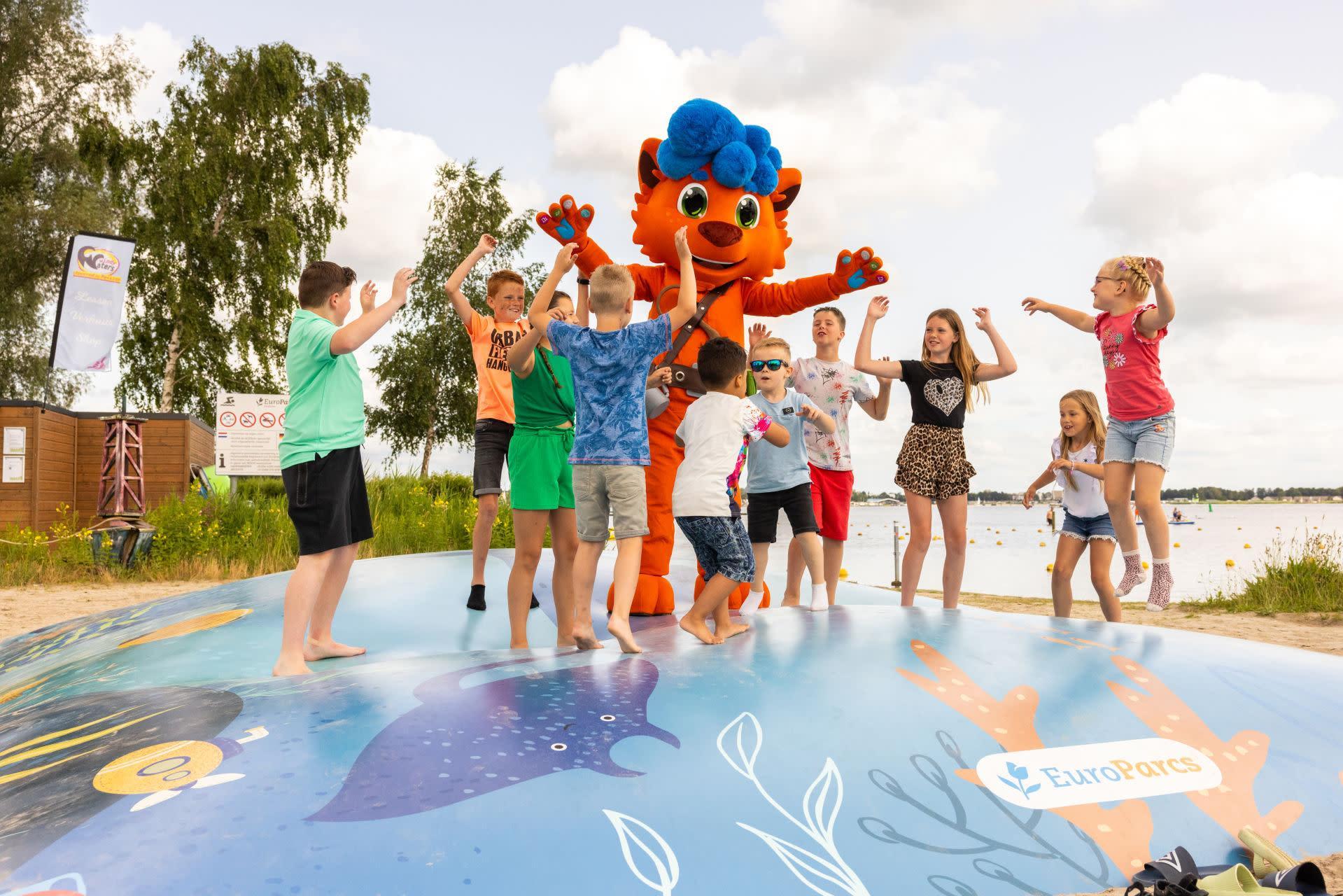 Accommodation Zuiderzee - Camping pitch - Camping pitch Standard - 11