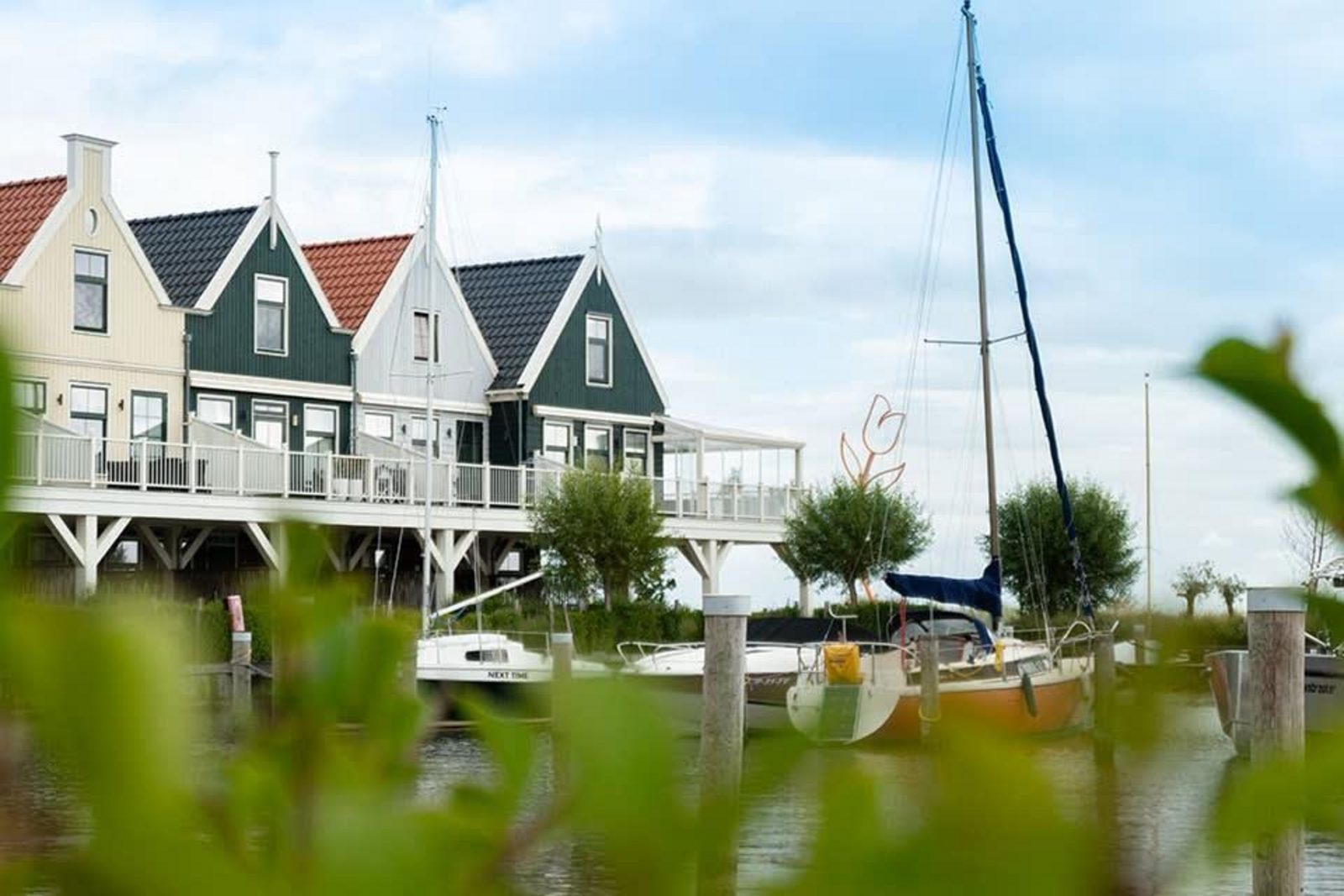 Zuiderzee 6