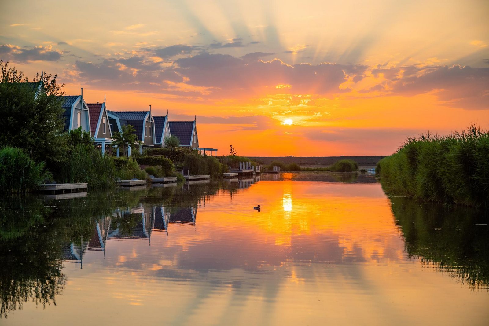 Zuiderzee 8