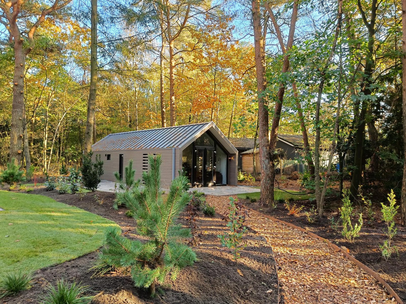 Forest Lodge 4