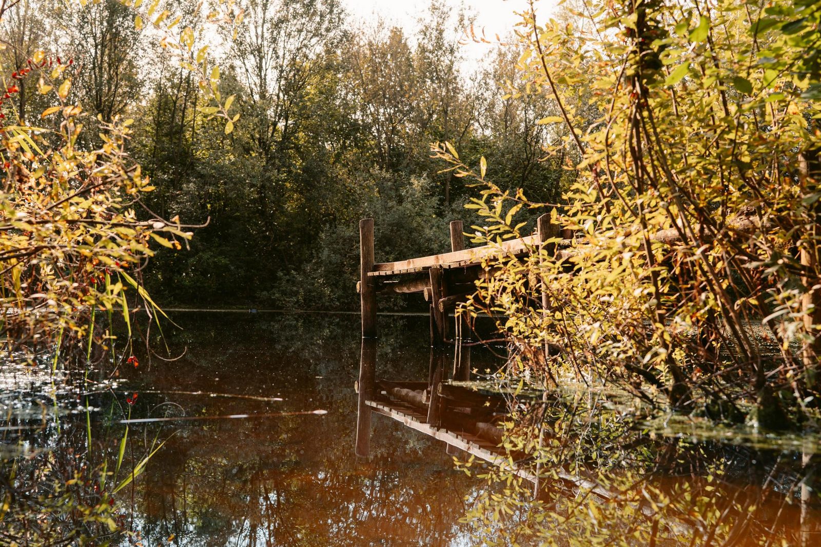 Panorama pod 
