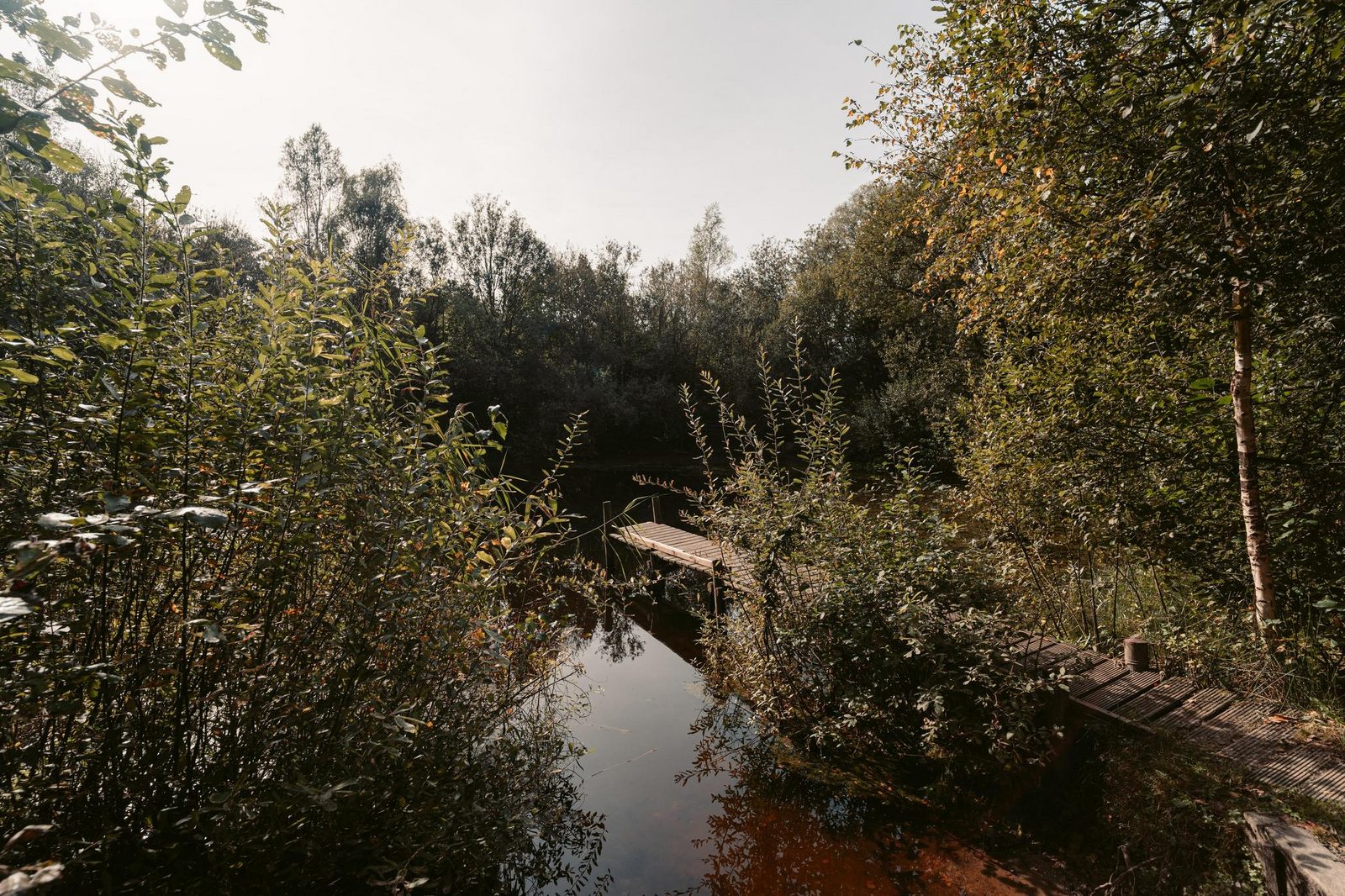 Pod 