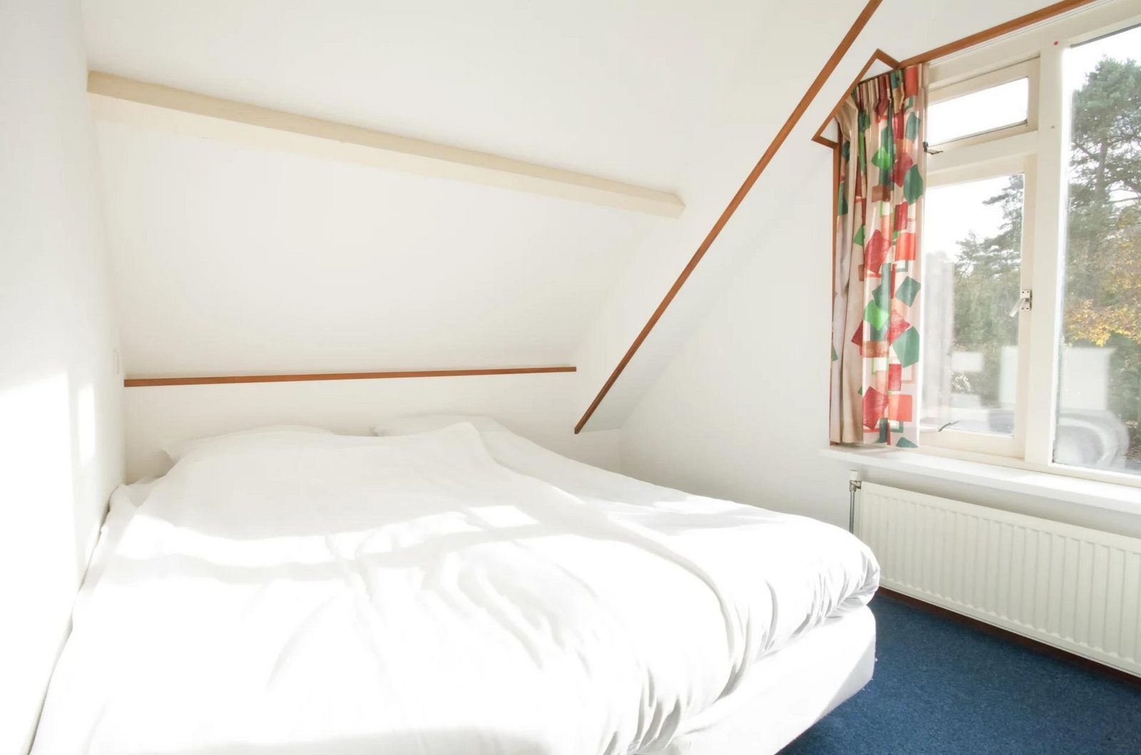 Groepsaccommodatie 20