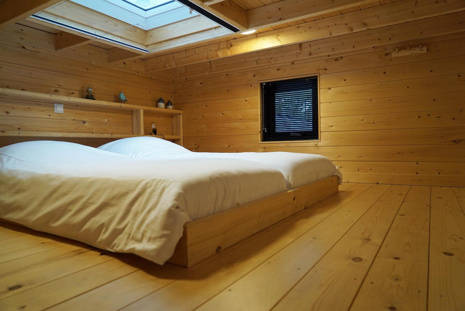 Tiny House 2