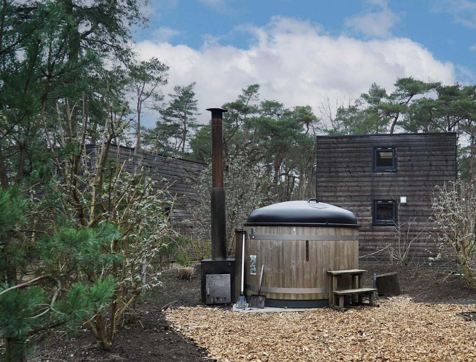 Tiny House 2