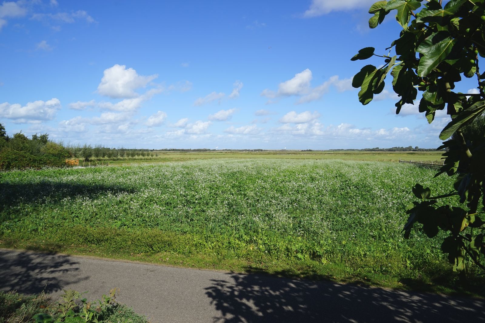 Loevesteijn - Ouddorp