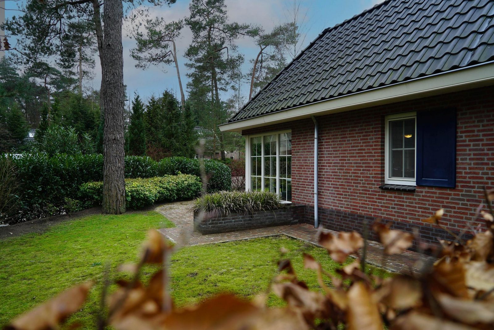 Villa 6
