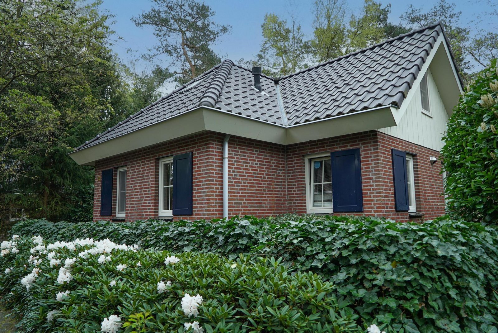 Villa 8