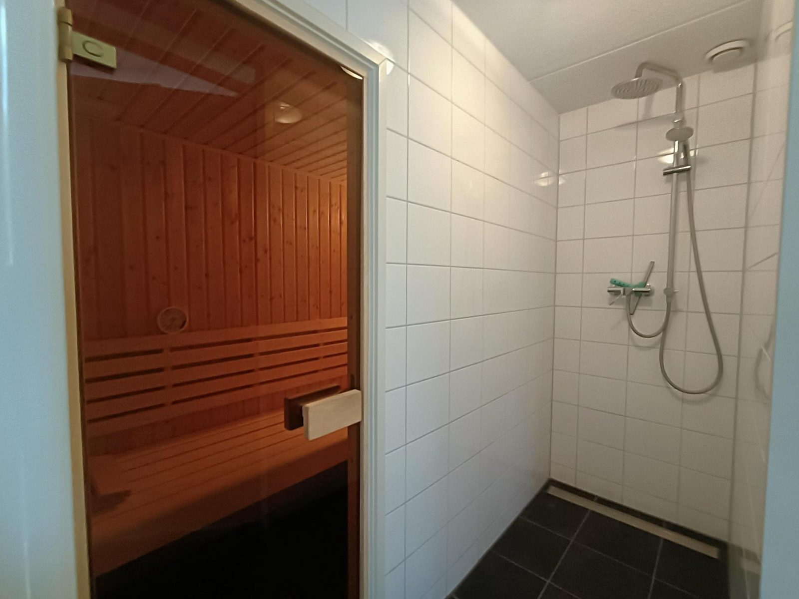 Villa Sauna 6