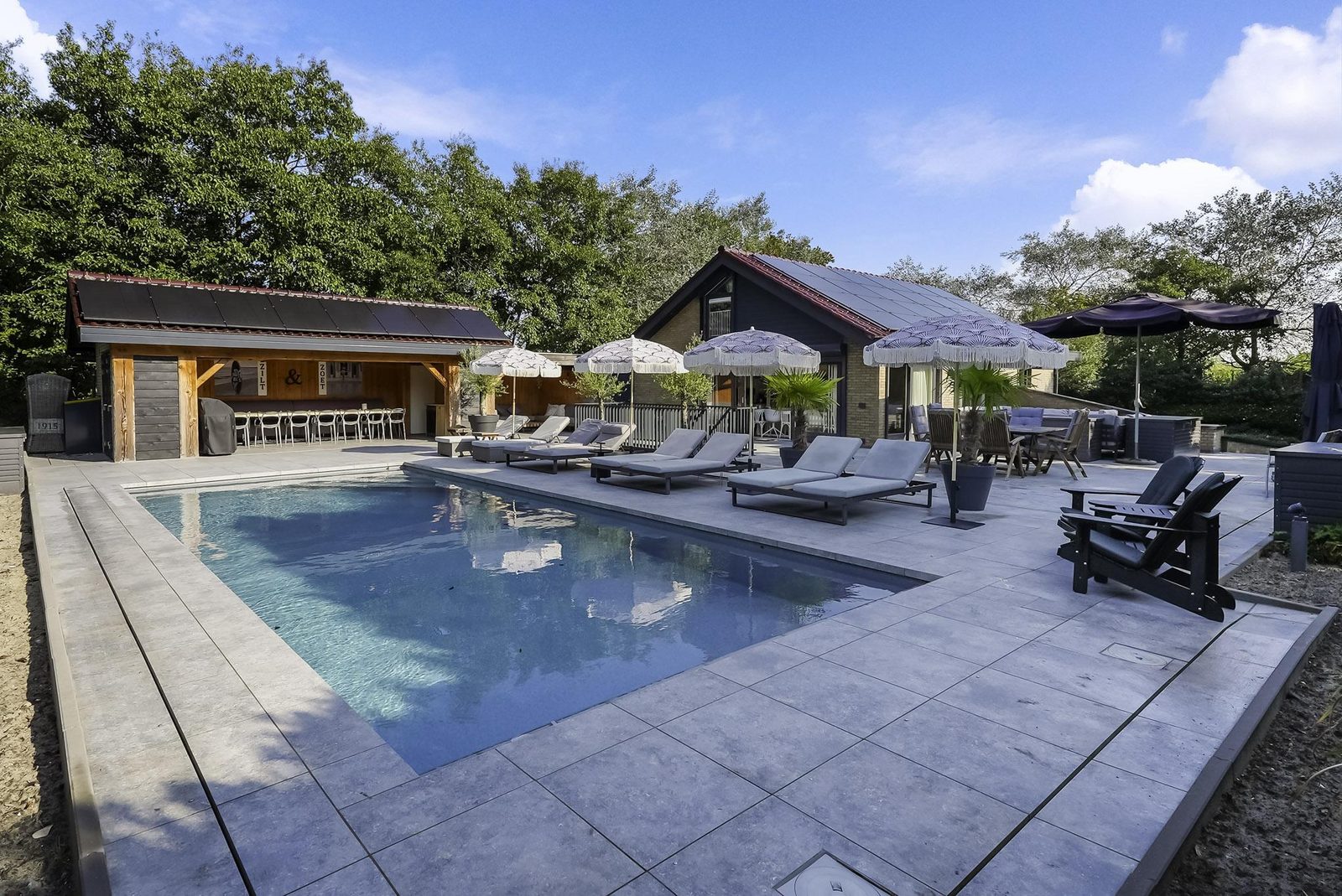 West Nieuwlandseweg 25A - Ouddorp - Poolvilla Zilt & Zoet 