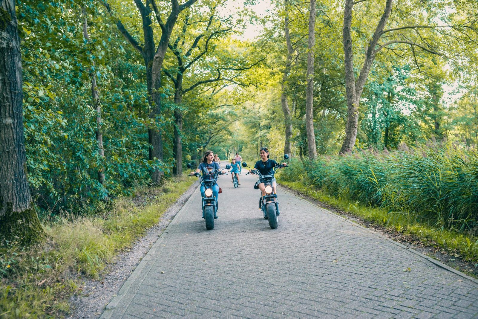 Berkel 4