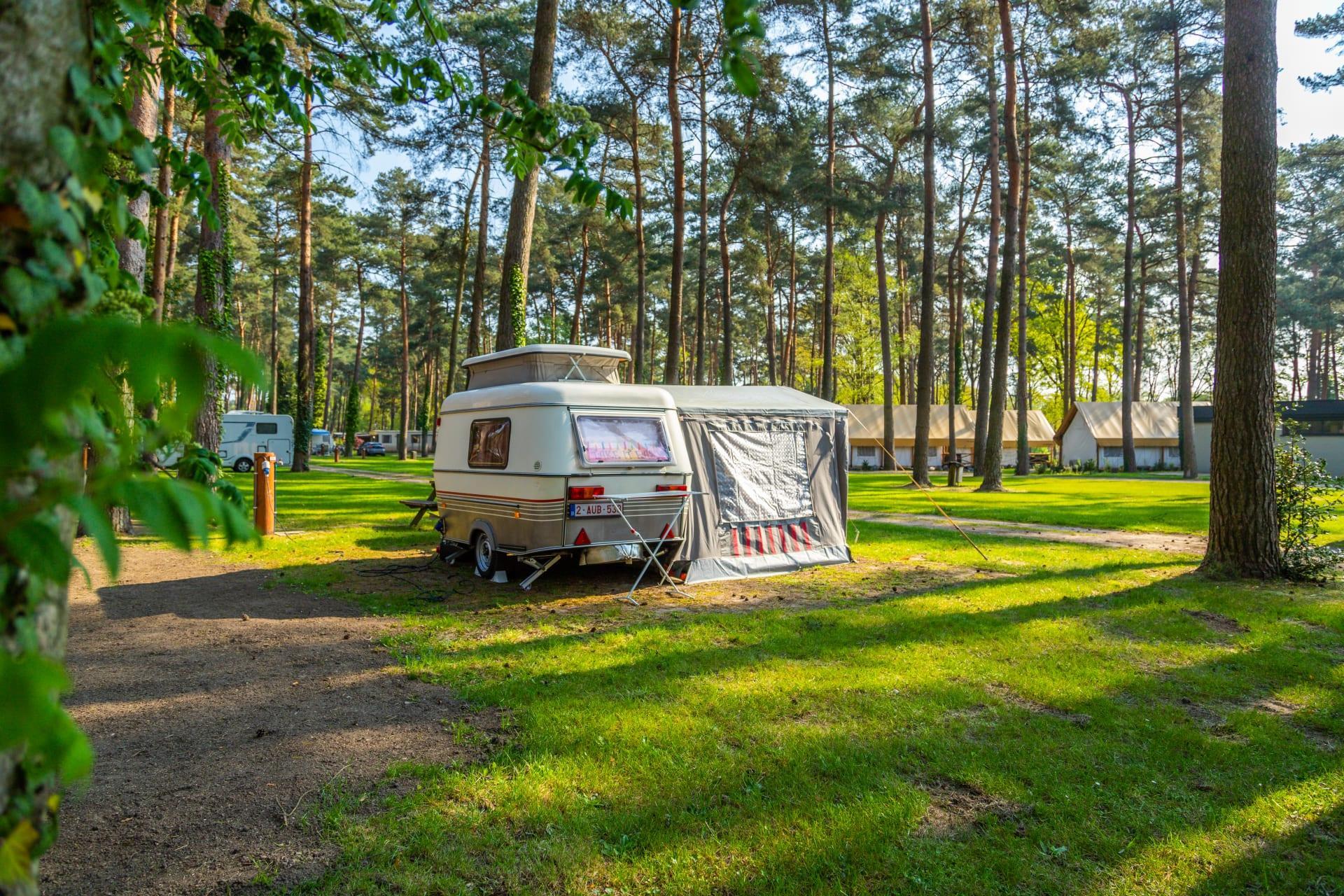 Kampeerplaats Comfort L 4