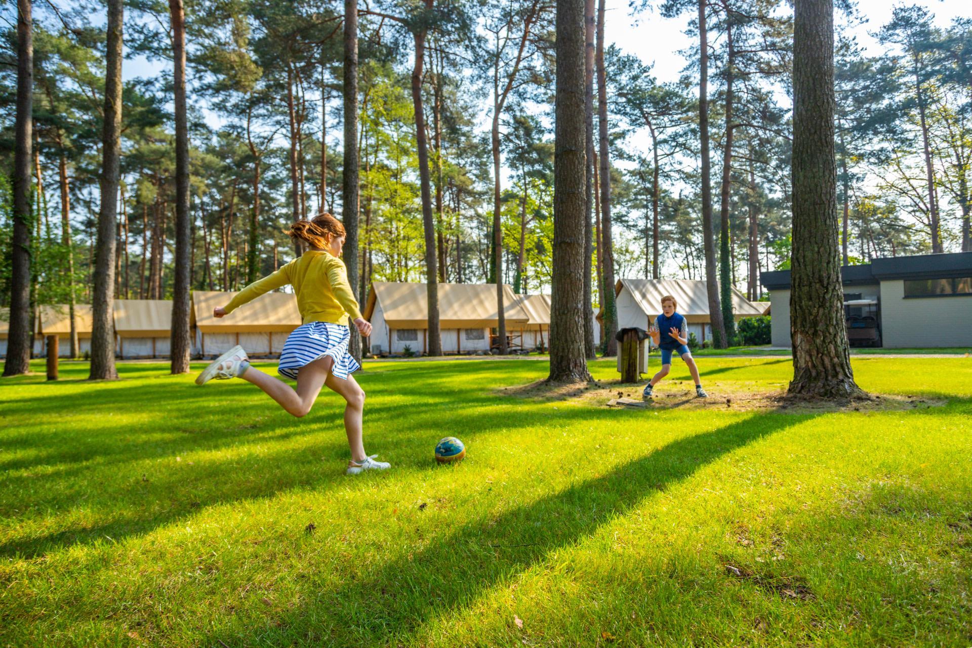 Kampeerplaats Comfort L 3