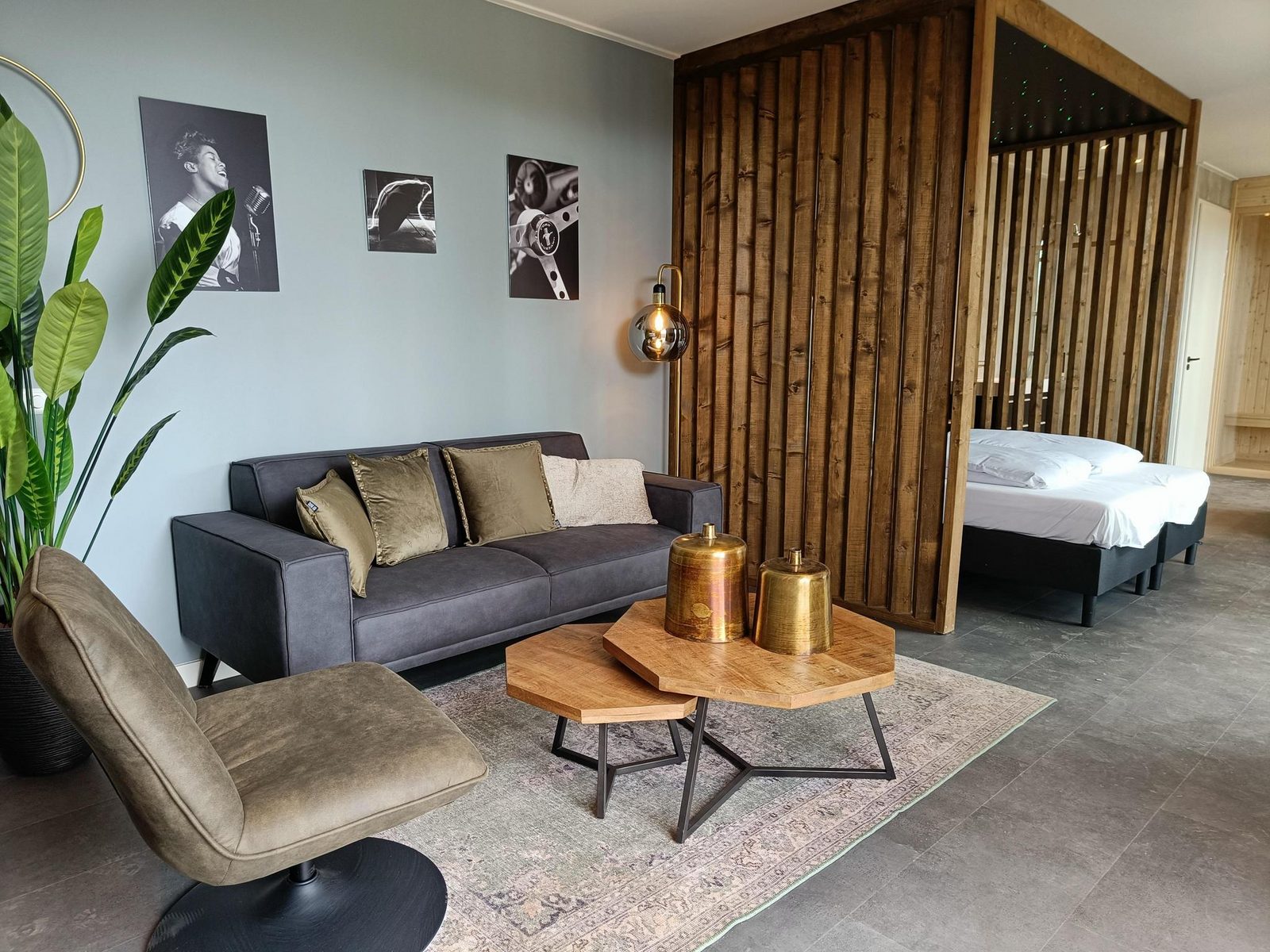 Modus Wellness 2
