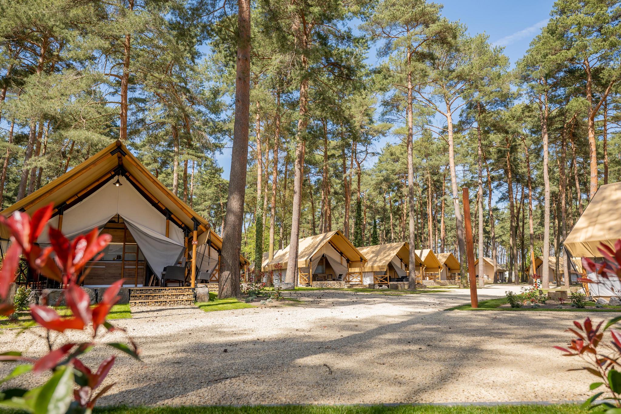 Papendaal lodge 6 5
