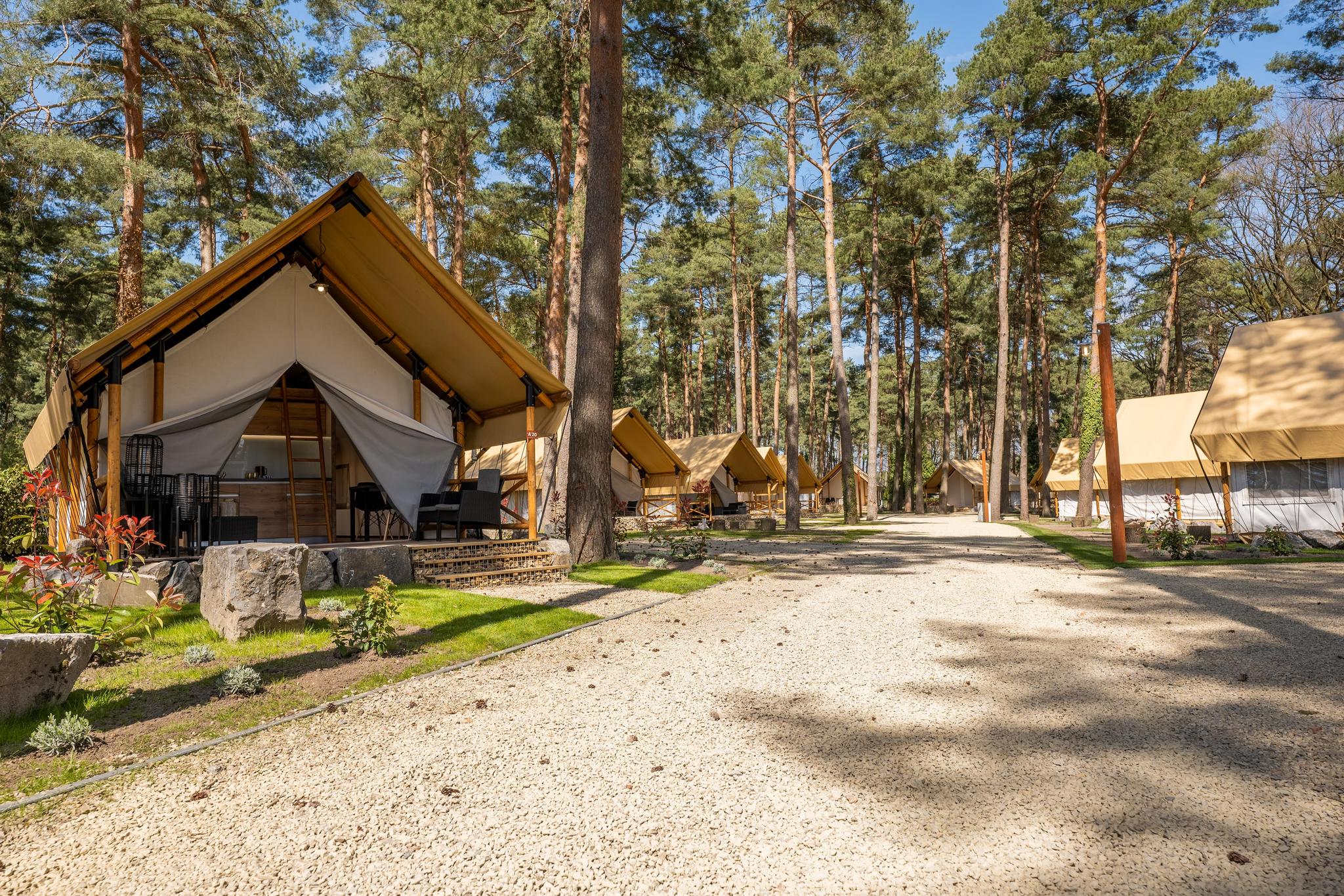 Papendaal lodge 6 6