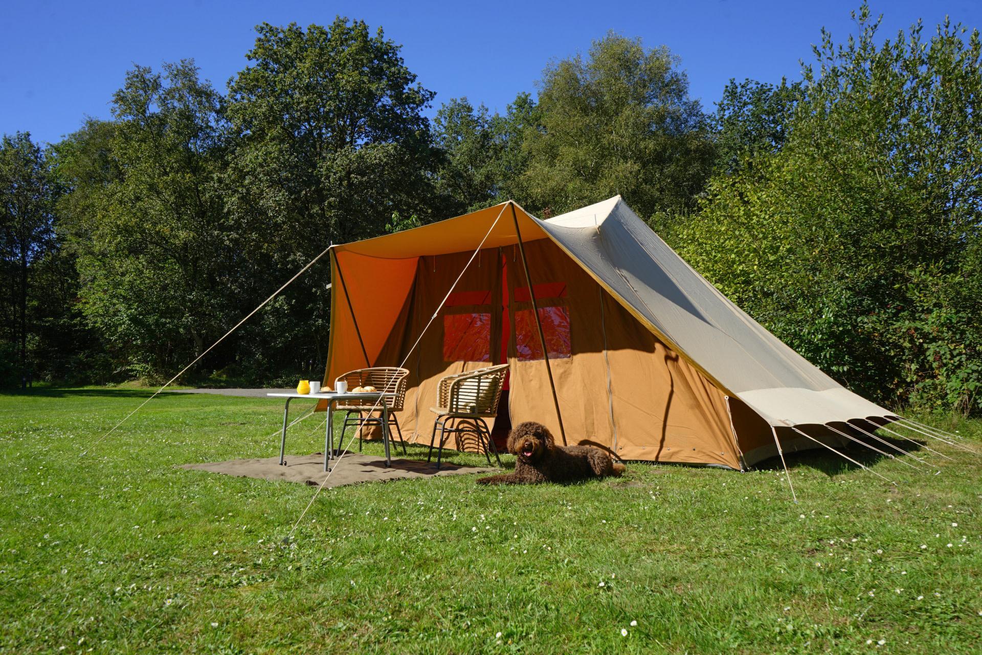 Kampeerplaats Comfort 2