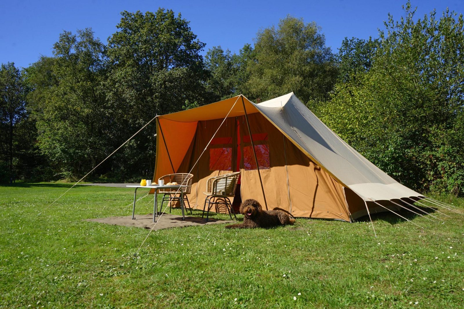 Komfort Stellplatz