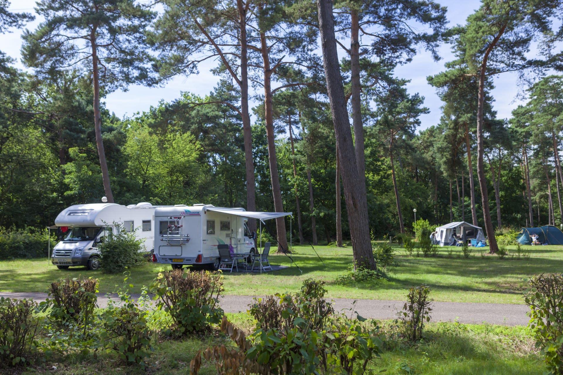 Kampeerplaats Comfort 4