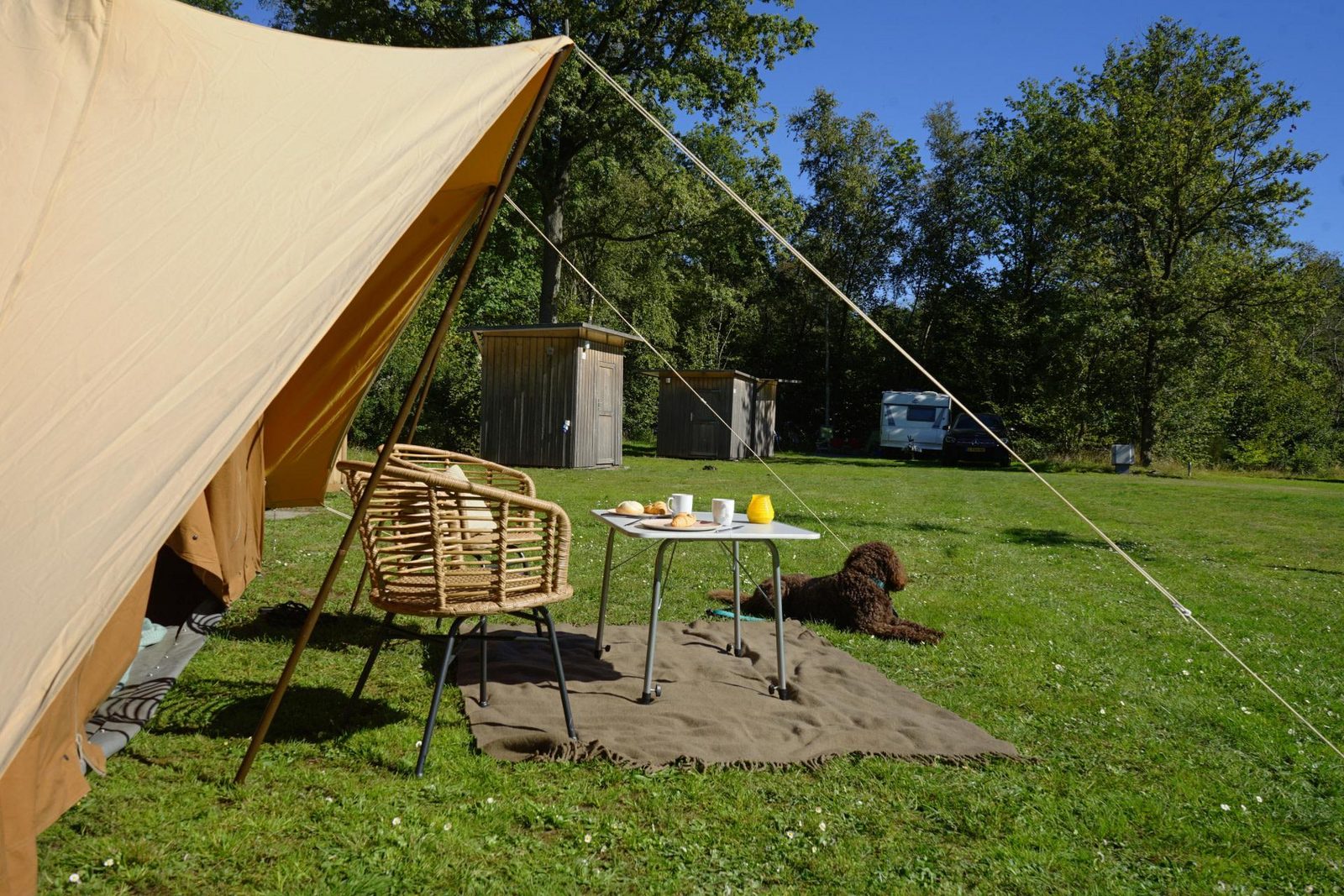 Komfort Stellplatz