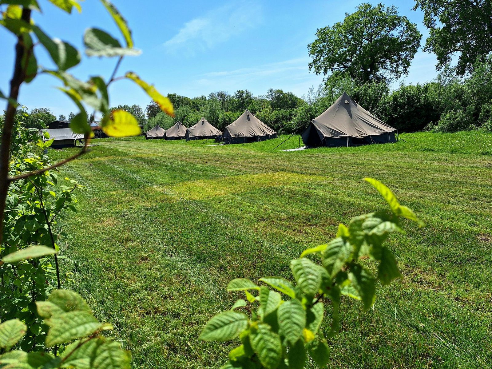 Glamping Belltent 2/4-persoons