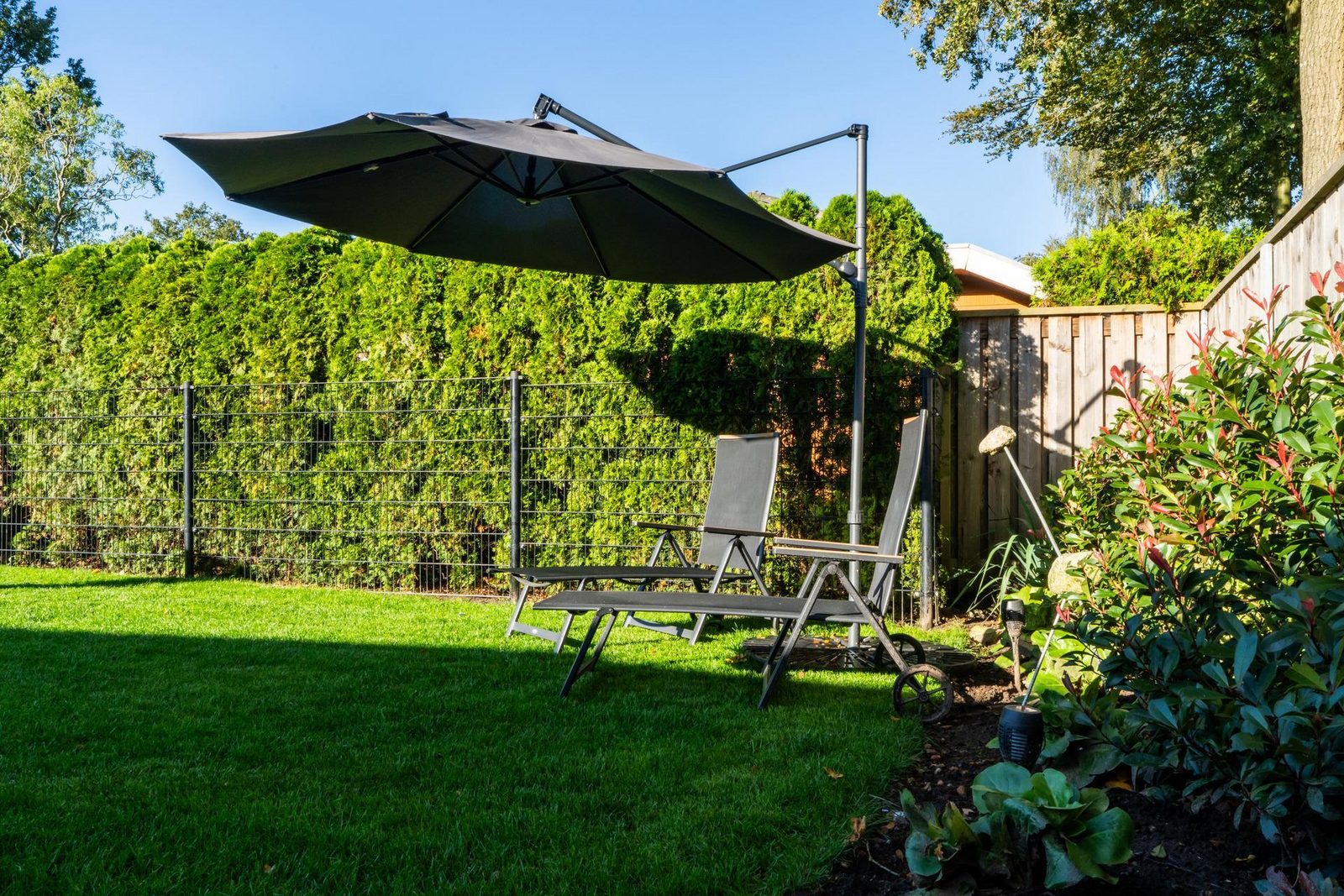 Grasheide: Modern in Drenthe (4p)