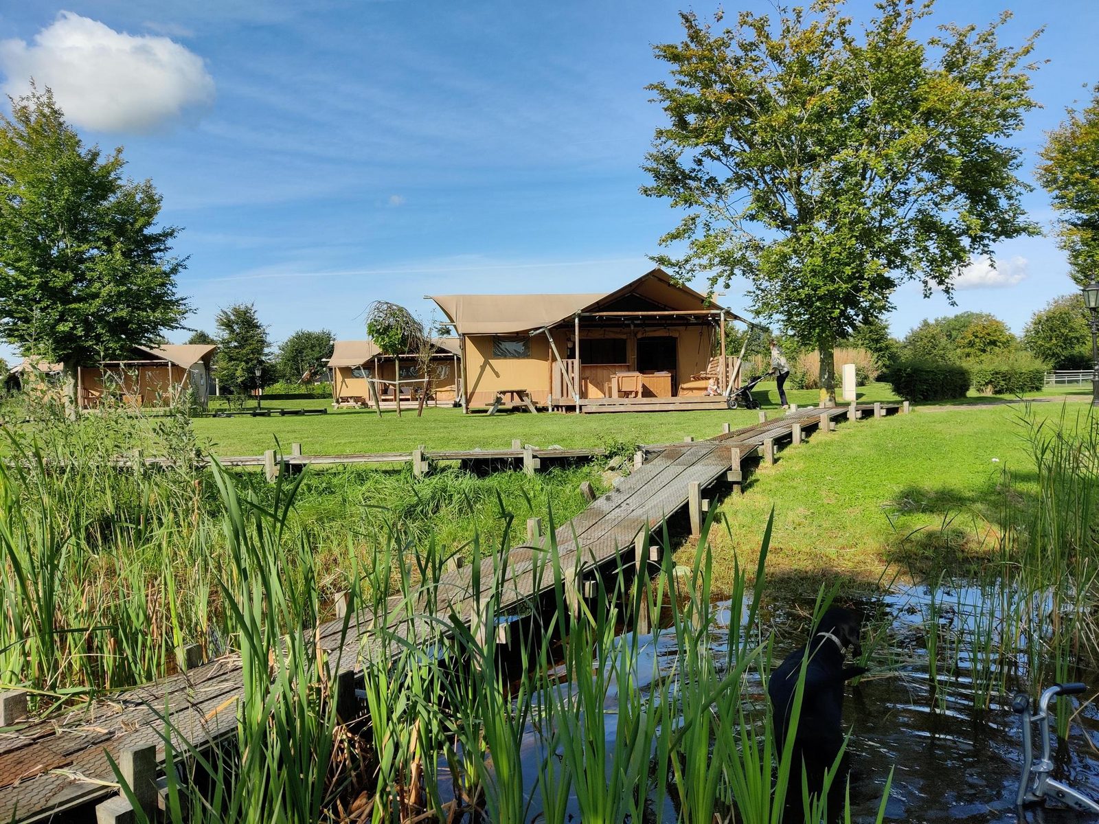 Groepsverblijf groepstent met 3 vijfpersoons glamping tenten (15 personen)