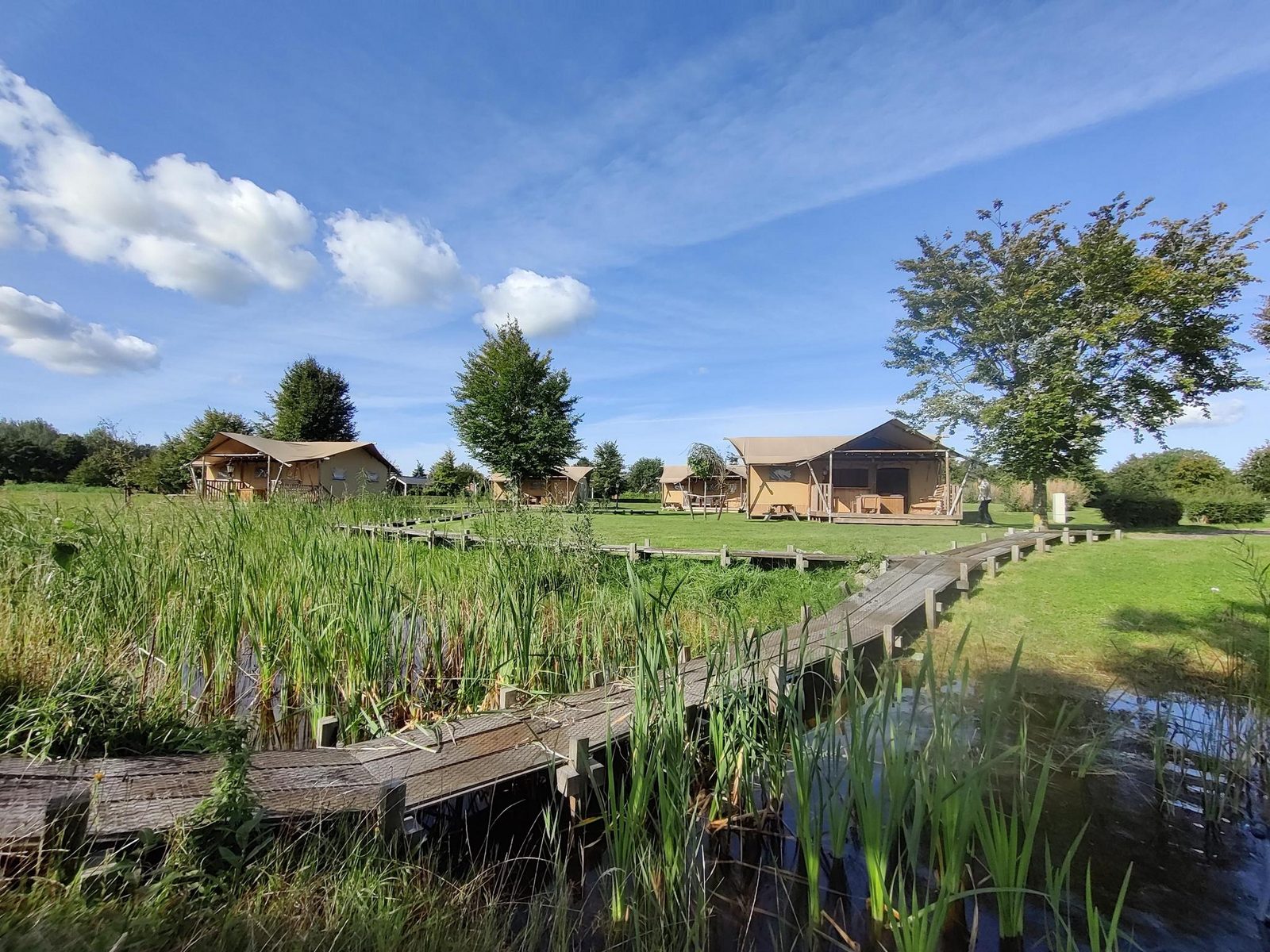 Groepsverblijf groepstent met 3 vijfpersoons glamping tenten (15 personen)