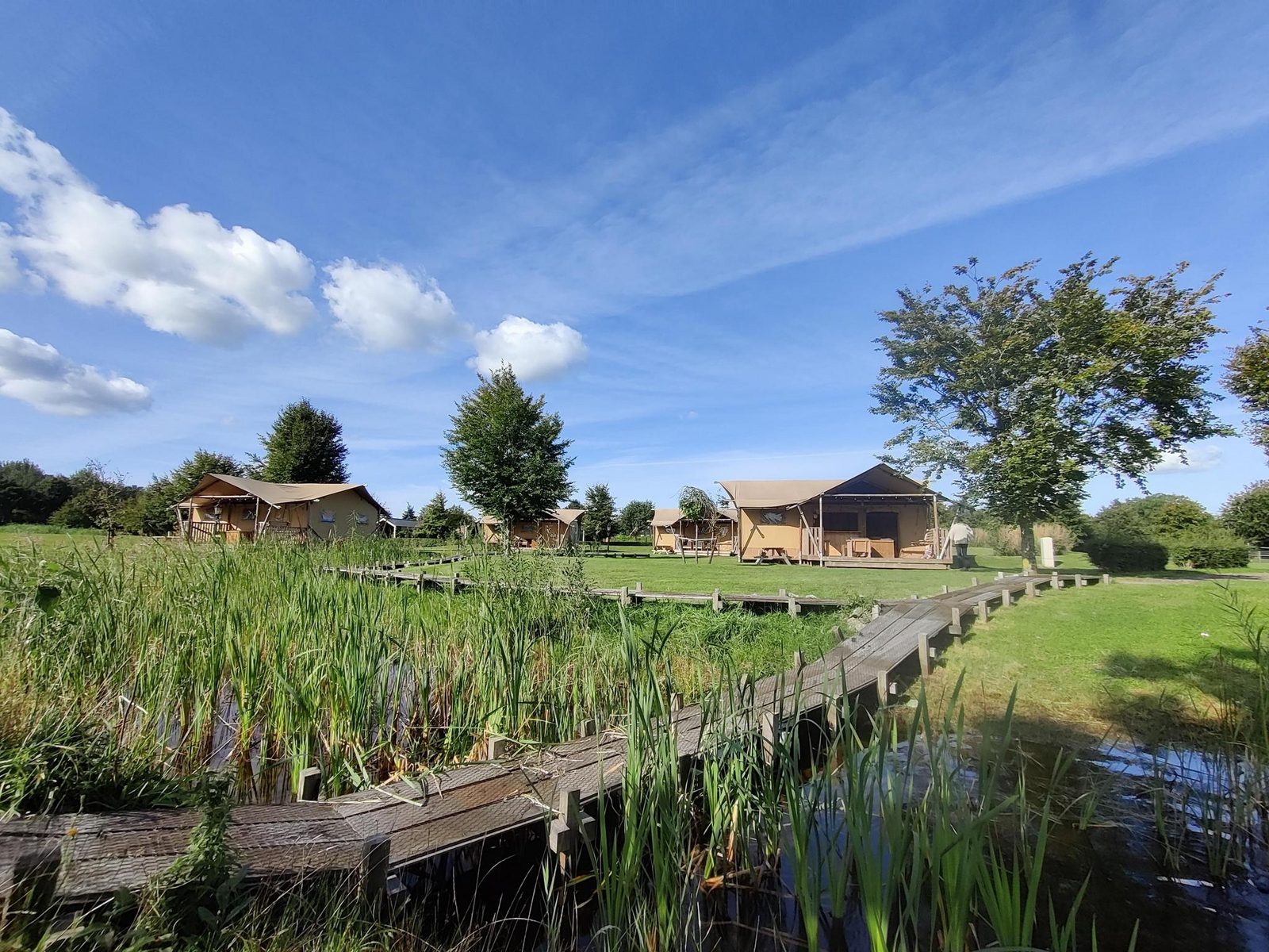 Groepsverblijf groepstent met 3 vijfpersoons glamping tenten (15 personen)