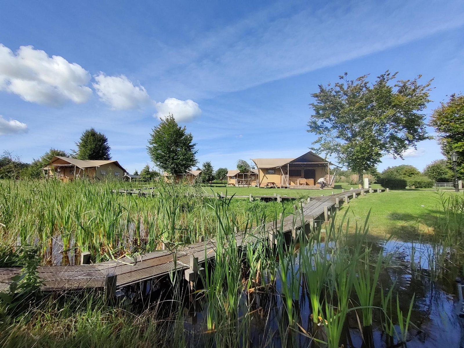 Groepsverblijf groepstent met 3 vijfpersoons glamping tenten (15 personen)