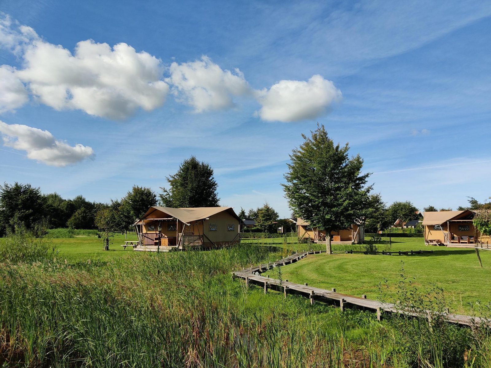 Groepsverblijf groepstent met 3 vijfpersoons glamping tenten (15 personen)