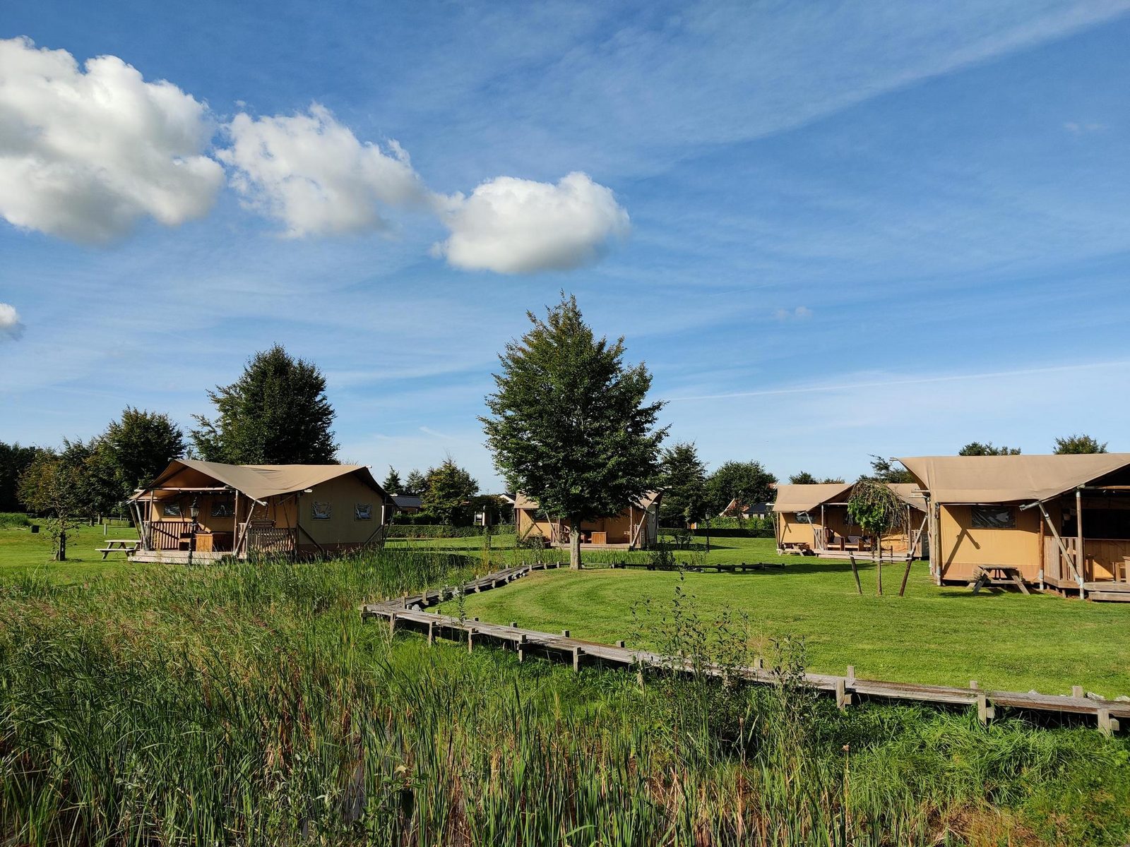 Groepsverblijf groepstent met 3 vijfpersoons glamping tenten (15 personen)