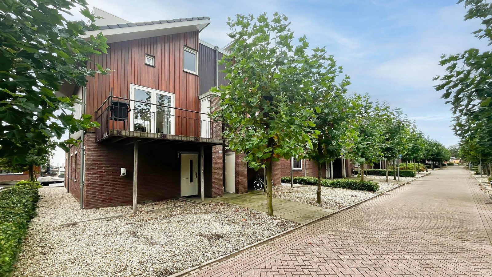 Schelpzicht