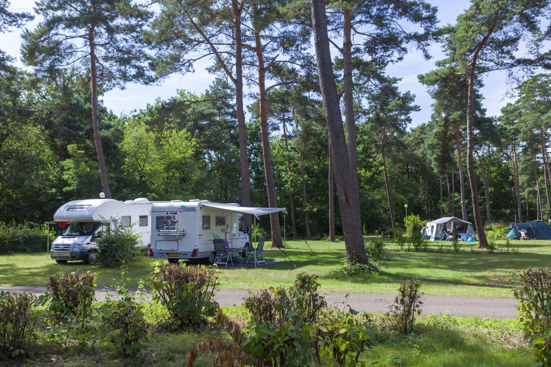 Stellplatz Komfort 1