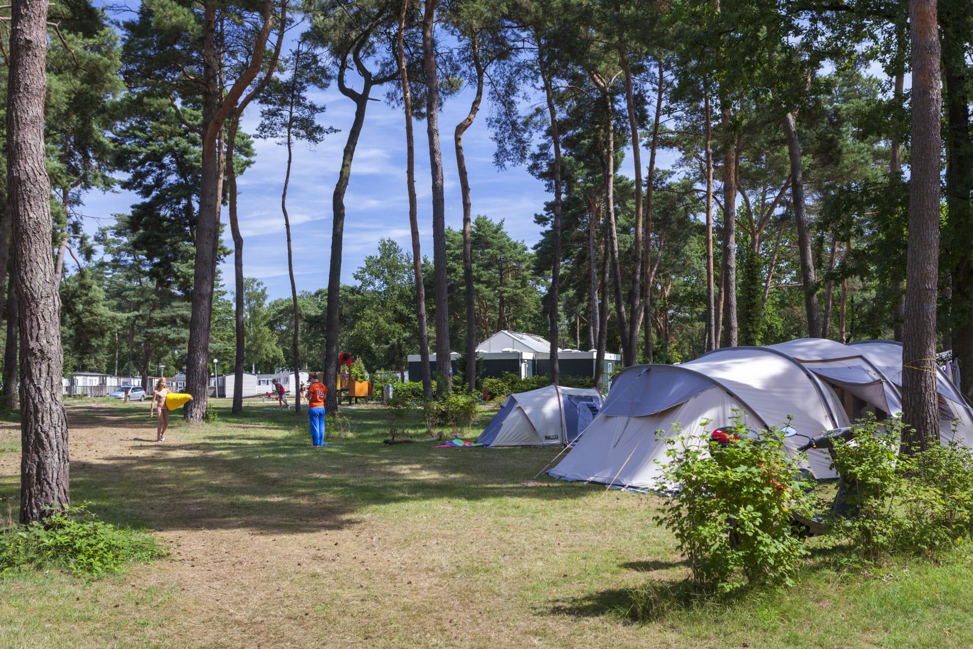 Stellplatz Komfort 2