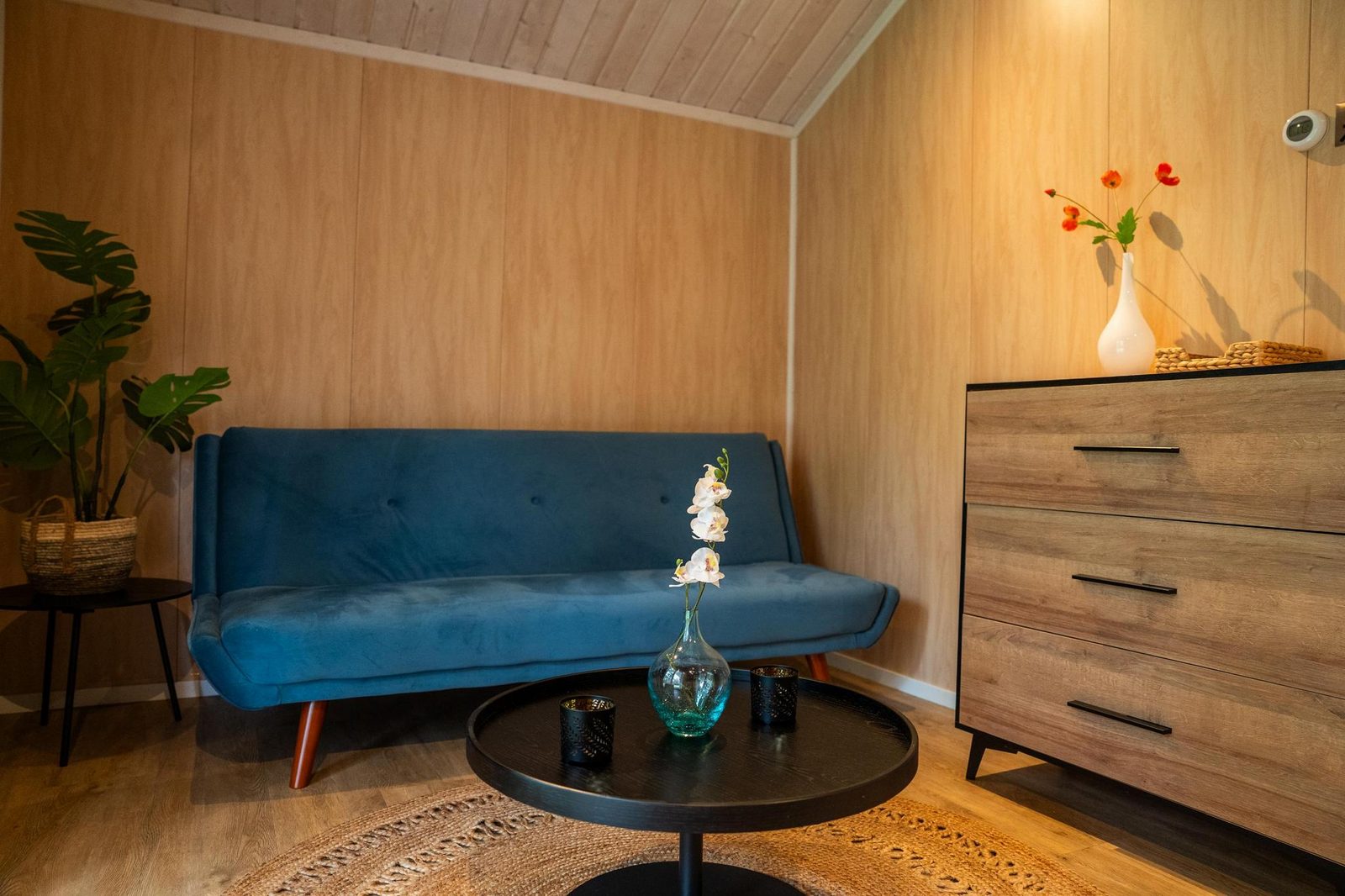 Tiny House Deluxe | 3 personen 