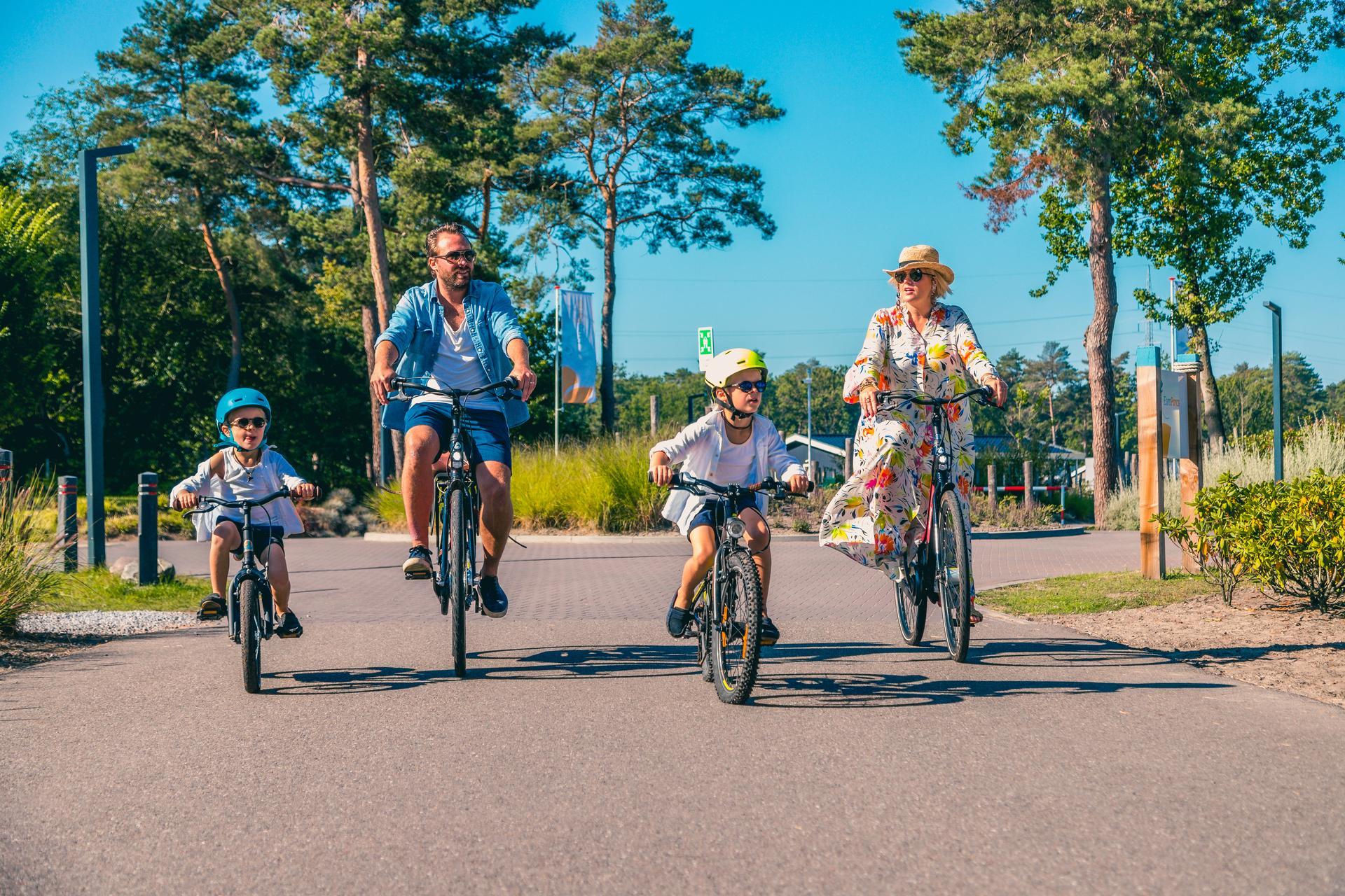 Unterkünfte Zilverstrand - Mobilheim - Mobilehome 4 - 12