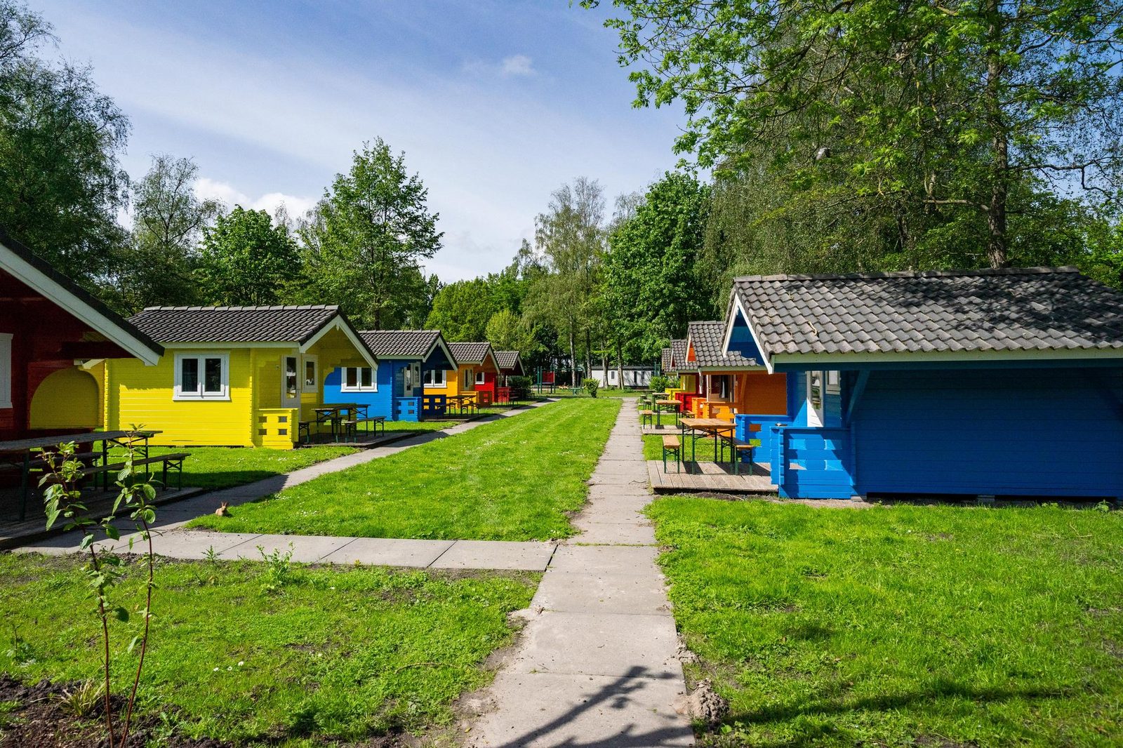 Cabin 4