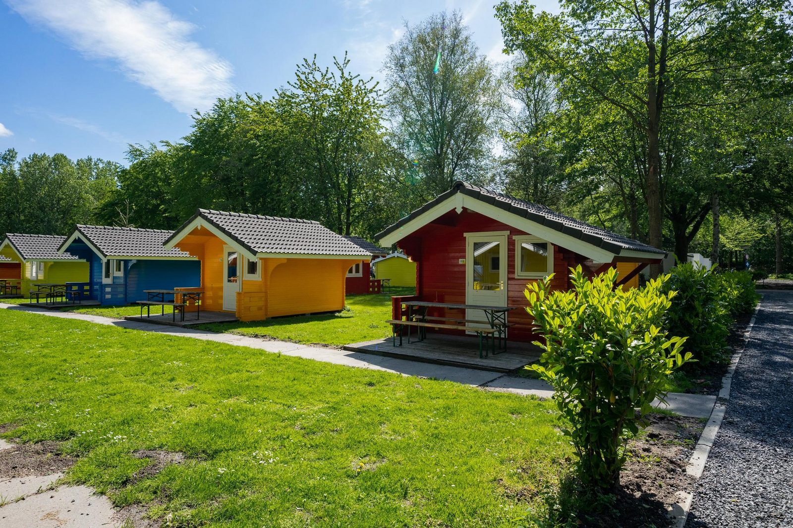 Cabin 4