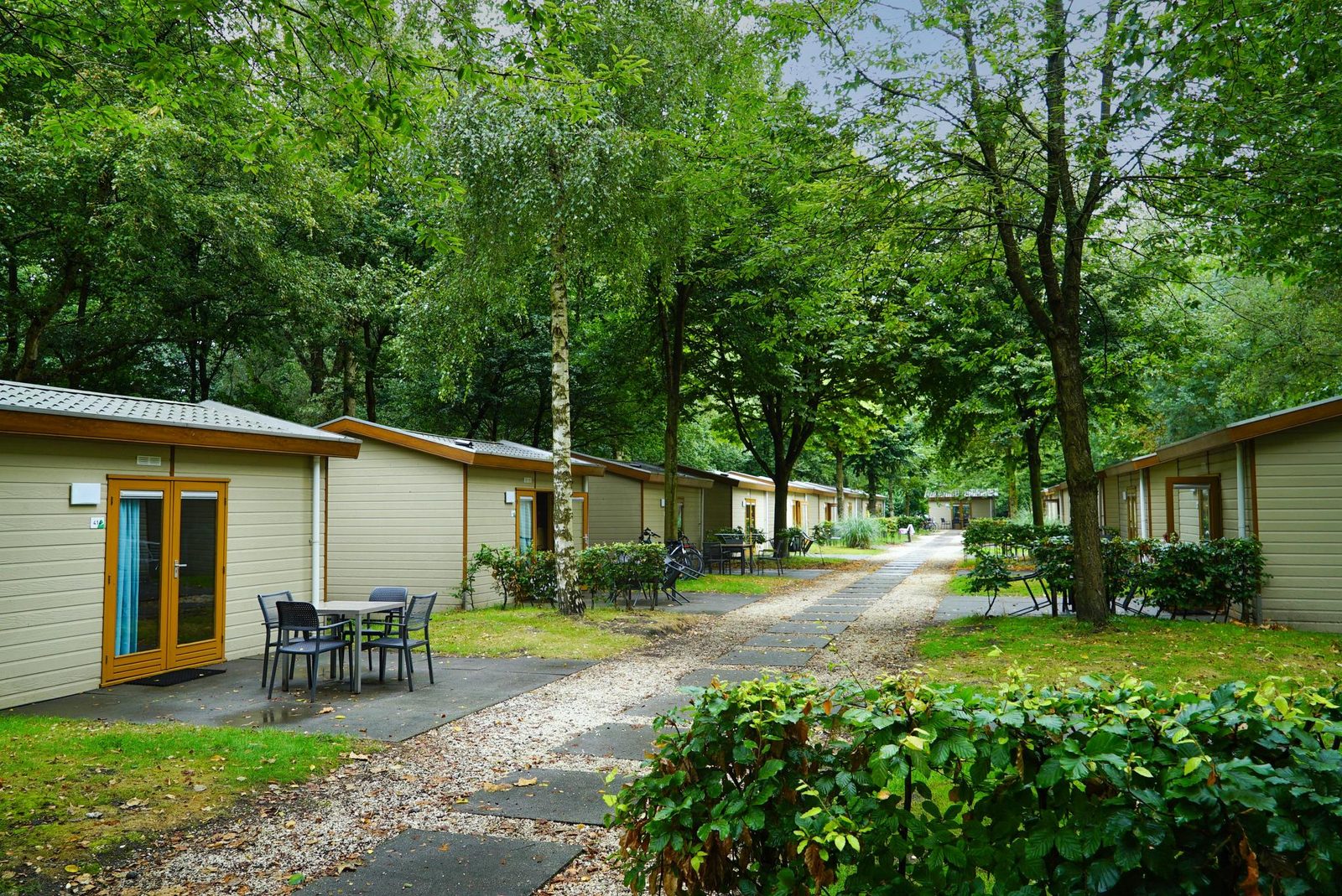 Forest Lodge 4