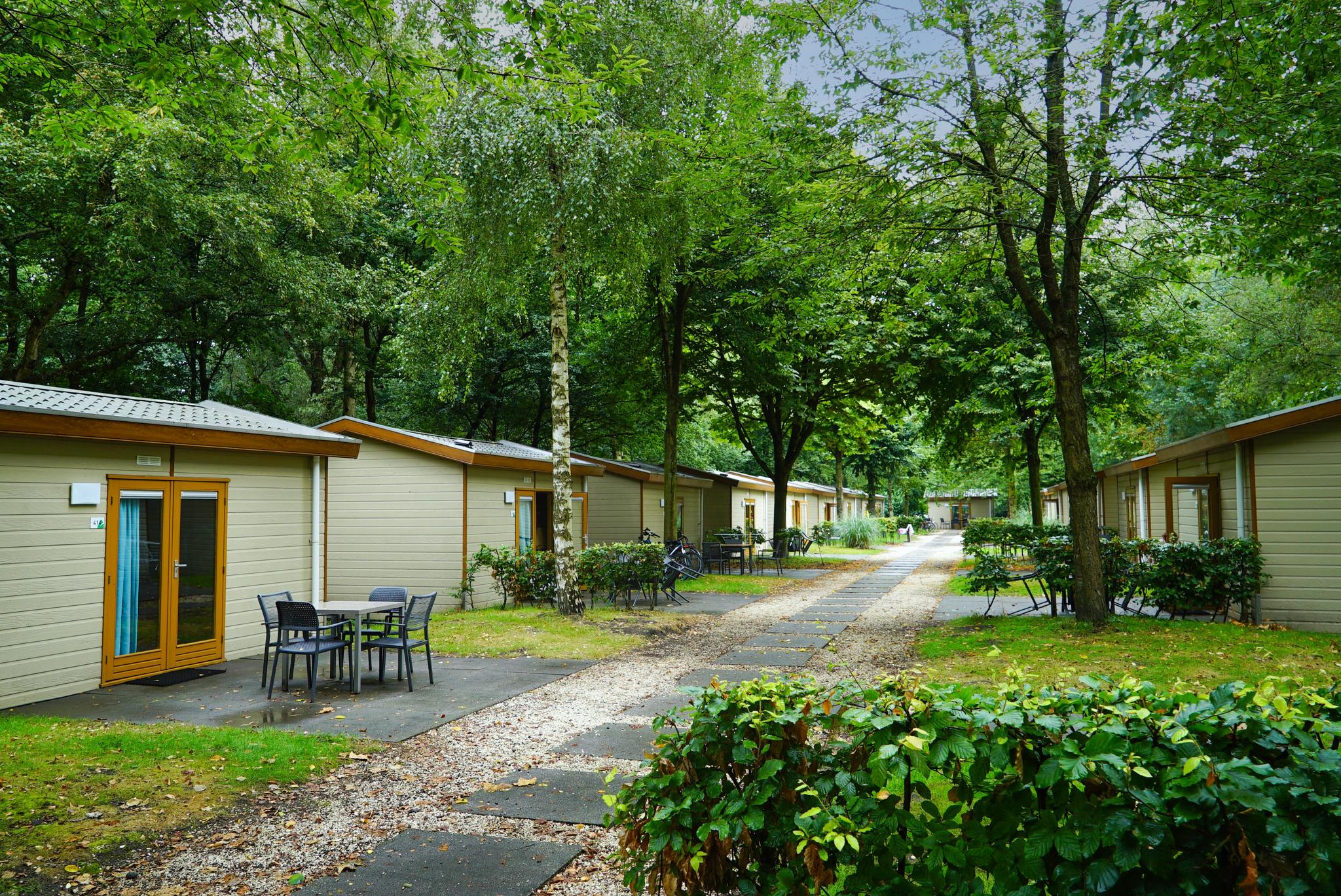Accommodatie Het Amsterdamse Bos - Trekkershut - Forest Lodge 4 - 11