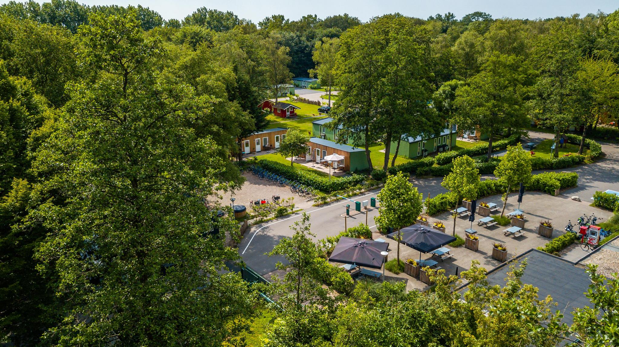 Unterkünfte Het Amsterdamse Bos - Camping Stellplatz - Stellplatz Komfort - 12