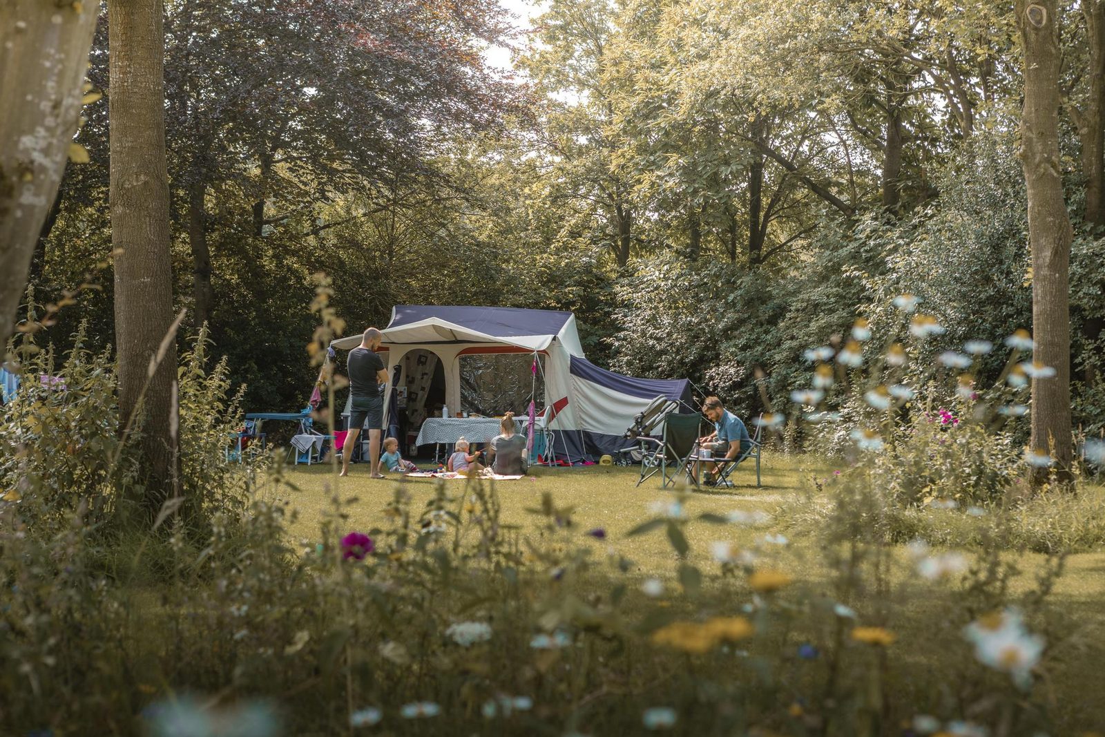 Frühsommerwoche 2025