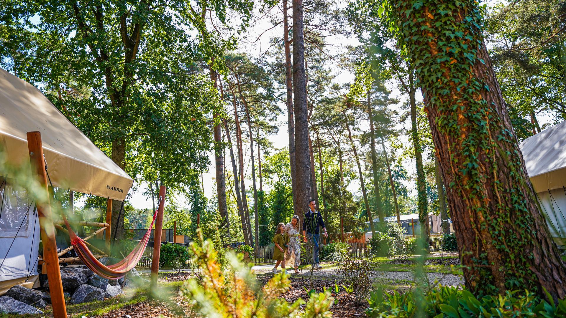 Unterkünfte Hoge Kempen - Glamping-Zelt - Papendaal lodge 6 - 12