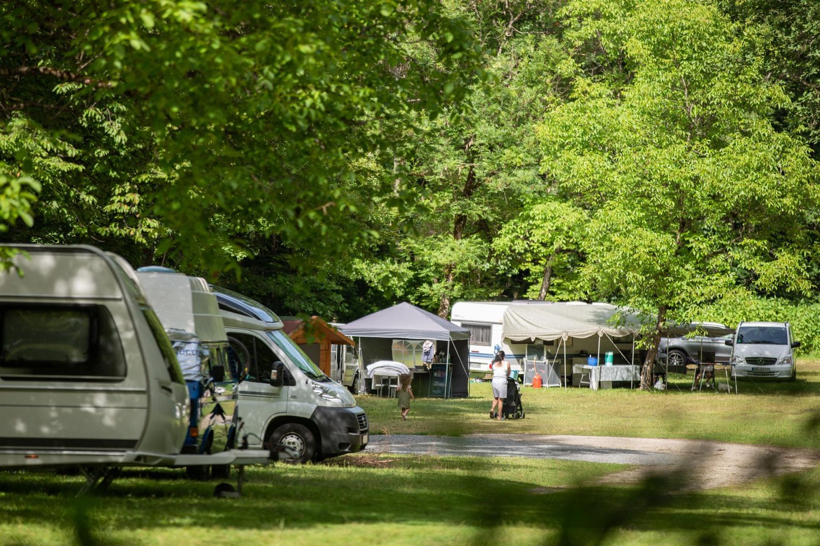Trekkersveld
